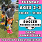5/26 - 7/14 | Ages 2-3<br>Tuesday Toddler Soccer<br>Fox Point Farms, Encinitas<br>10 Total Spots